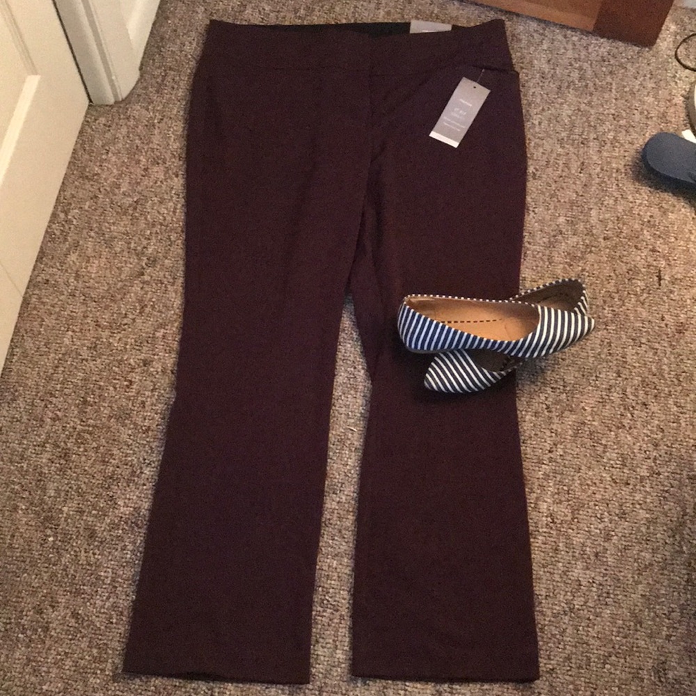 Maroon Dress Pant
